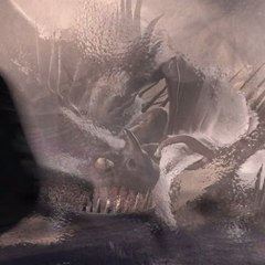 Dragons  Riders of Berk on slice