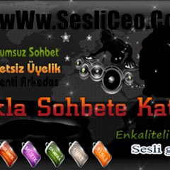 www.sesliceo.com