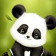 Animals World