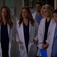 Grey's Anatomy Season 14 - [ FULL ONLINE ]