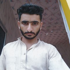 punjabi all in one