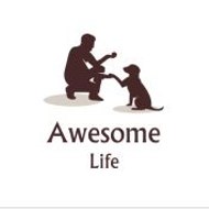 Awesome Life