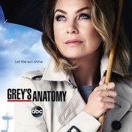 Greys Anatomy Season 14 || Full Series