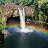 علاج كل شيء