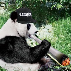 stoner_panda