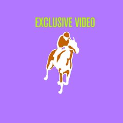 Exclusive Videos