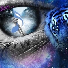 MIMI MUSIC