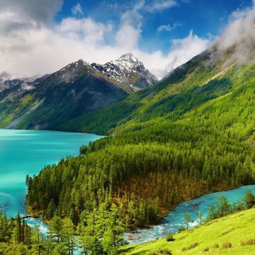 Amazing World
