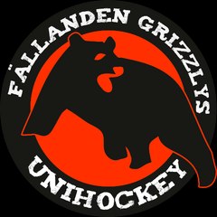 Grizzlys - Unihockey am Greifensee