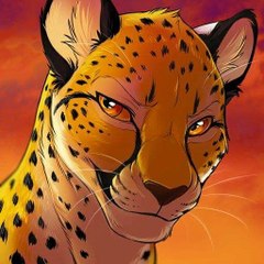 SpeedingCheetah