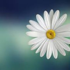 Guptanitesh9244