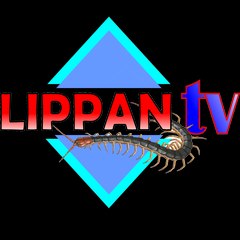 LIPPAN TV