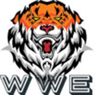 Wrestling Entertainment