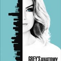 Grey's Anatomy Season 14 (Full-HD) - Watch Online