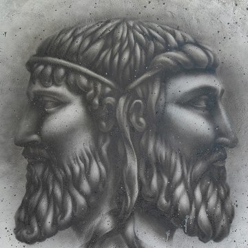 Janus Janus Model