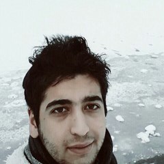 anas mohammad
