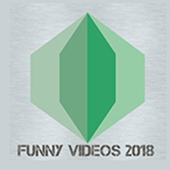 Funny Videos
