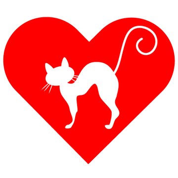 i love cats