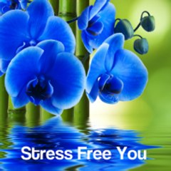 stress free you
