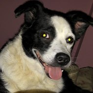 Love Park ÜÇÜNCÜ