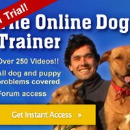 theonlinedogtrainer1