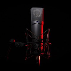 The Best Voice