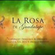 La Rosa De Guadalupe