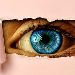 See TV