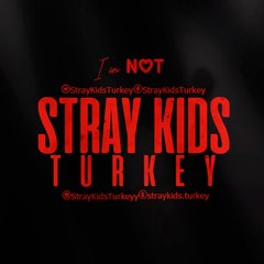 Stray Kids Turkey