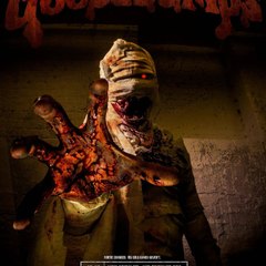 Goosebumps  Horrorland (2018) | ⁂'FREE'HD'123Movie