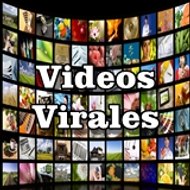 Videos Virales