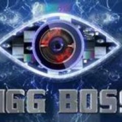 Bigg Boss Season 11 Episode 17