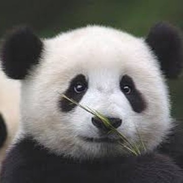 You know nothing about China