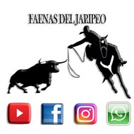 FAENAS DEL JARIPEO