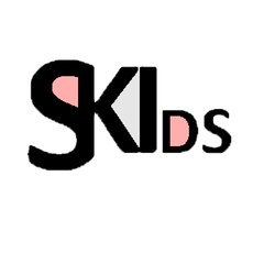 Sub Team Stray Kids