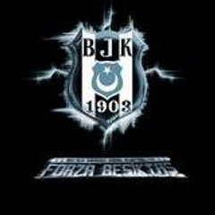 avci1979