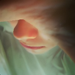 Nesjob