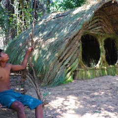 Supervivencia primitiva