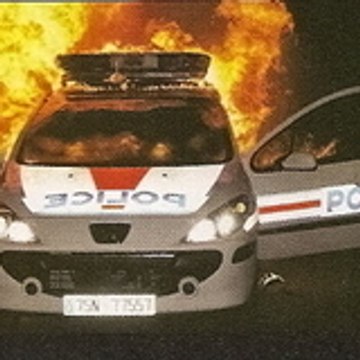 vive l'algerie en force