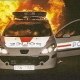 vive l'algerie en force