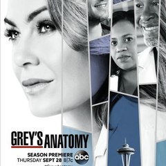 Grey's Anatomy Seasons 14 Full Streaming