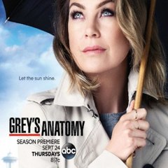Grey's Anatomy Seasons 14 Full Episode