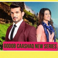 Halheeys Noloshu Waa