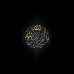 Daily Islamic vlogs