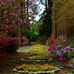 Zeeshan