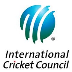 Cricket Cover Point