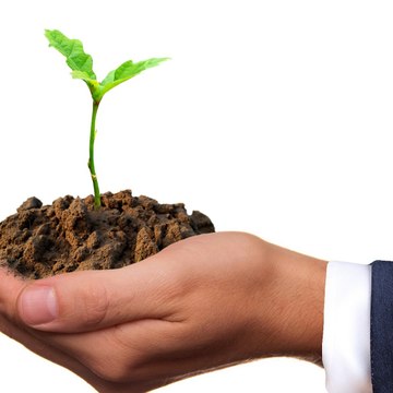 grow green and life