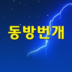 동방번개