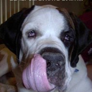 Примаченко Александр