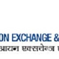 Indian Ion Exchange & Chemicals Ltd